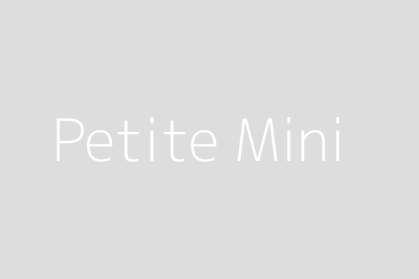 Petite Mini