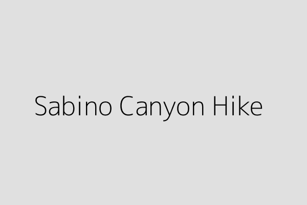 Sabino Canyon Hike