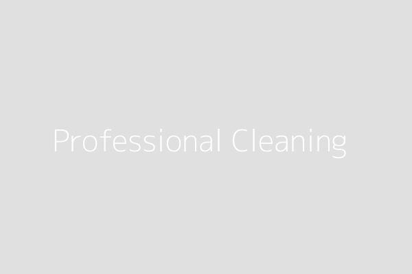 Professional Cleaning Service
