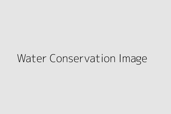 Water Conservation Image