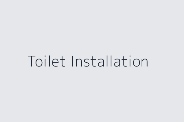 Toilet Installation