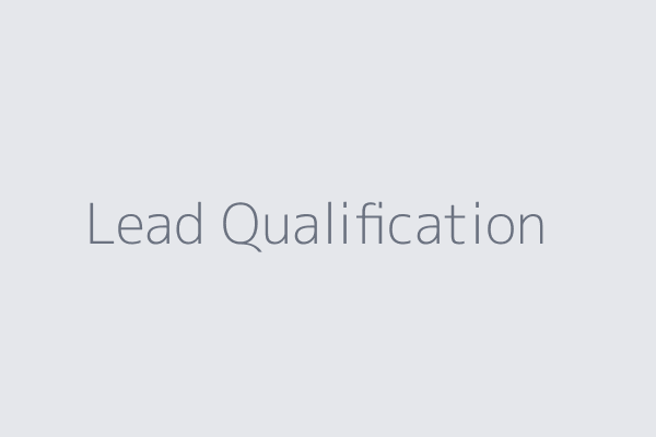 Lead Qualification