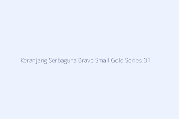 Keranjang Serbaguna Bravo Small Gold Series 01