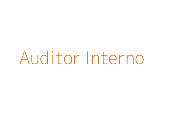 Auditor Interno Integrado