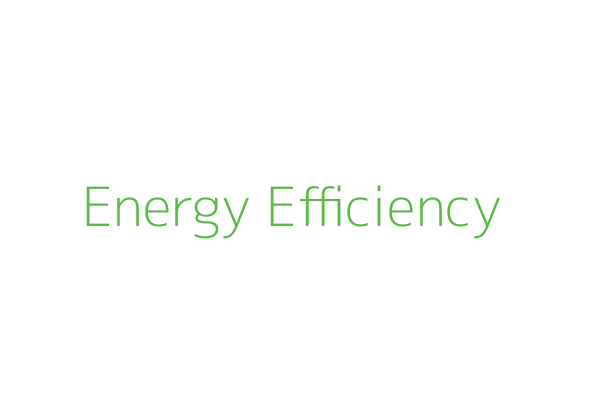 Energy Efficiency
