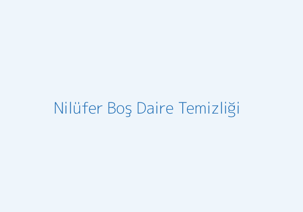 Nilüfer temizlik şirketi boş daire temizliği görseli