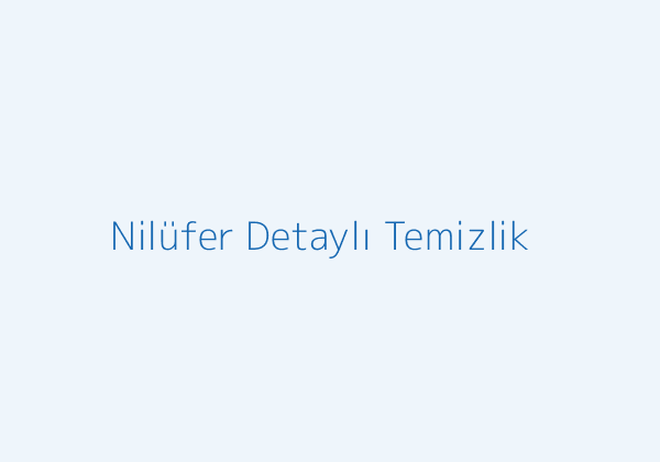 Nilüfer temizlik şirketi detaylı temizlik görseli