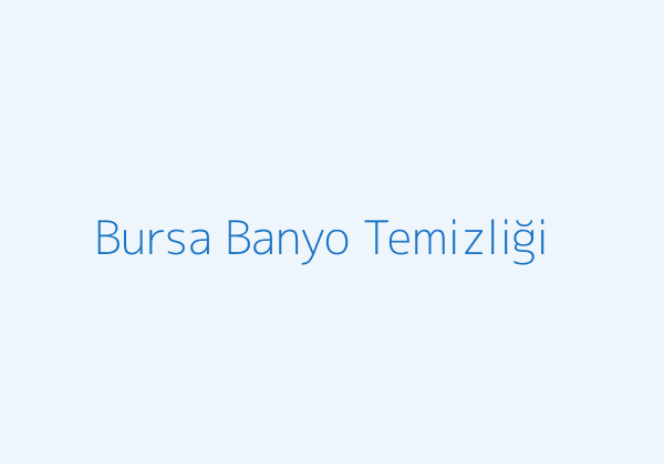 Bursa boş daire temizliği banyo alanı görseli