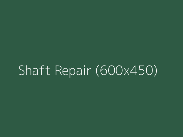 Shaft Repair image