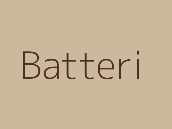 Løst batteri