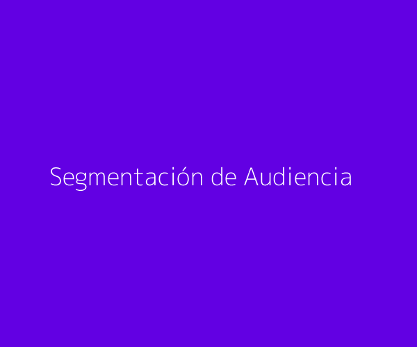 Análisis de segmentación de audiencia
