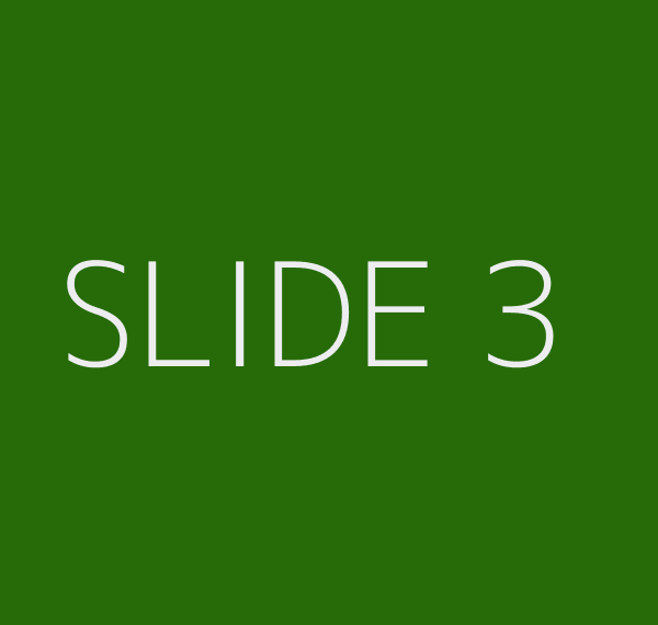 SLIDE 3