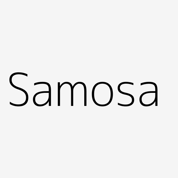 Samosa, 200 g