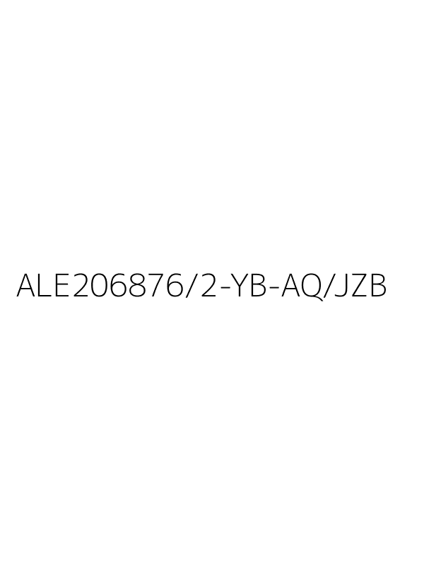 ALE206876/2-YB-AQ/JZB