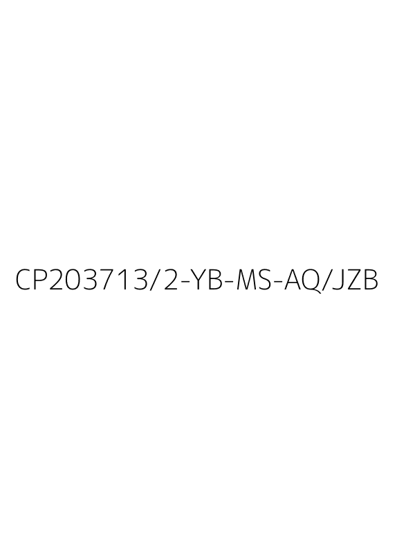 CP203713/2-YB-MS-AQ/JZB