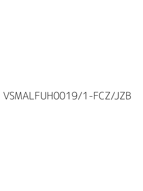 VSMALFUH0019/1-FCZ/JZB