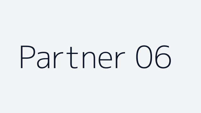 Partner 06
