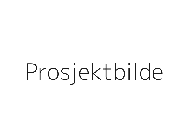 Prosjektbilde