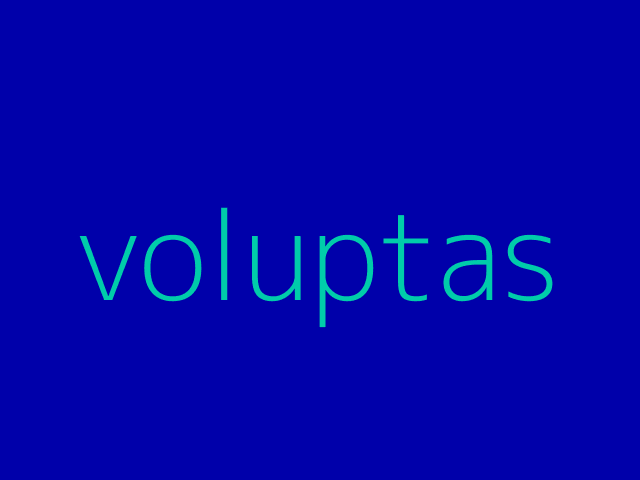 animi facilis tempora ut exercitationem