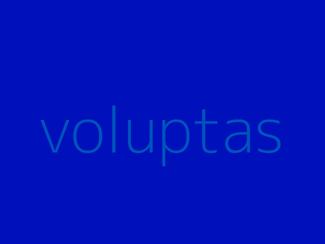 distinctio exercitationem pariatur rerum