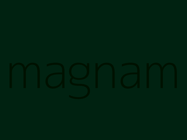 autem explicabo animi corrupti