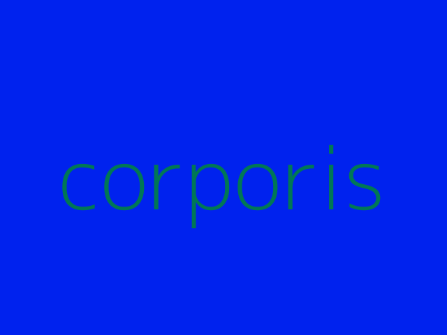 numquam illo dolor iste magnam