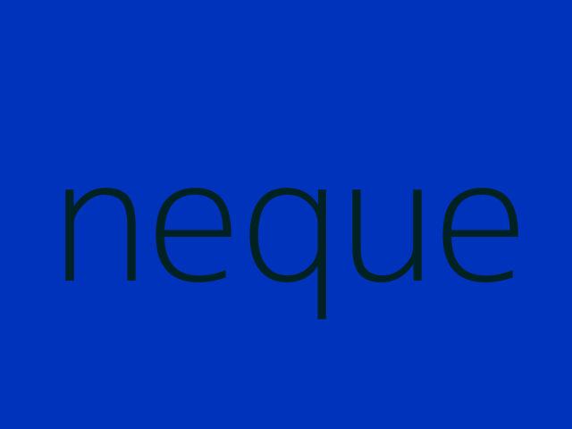 voluptatibus velit explicabo aut incidunt