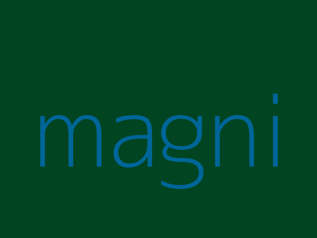 numquam illo dolor iste magnam