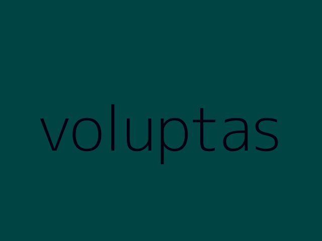 architecto aut modi fuga pariatur