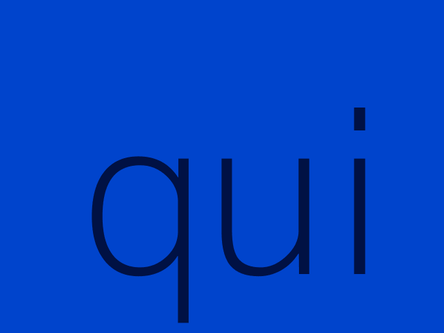 nihil fugit minus rerum