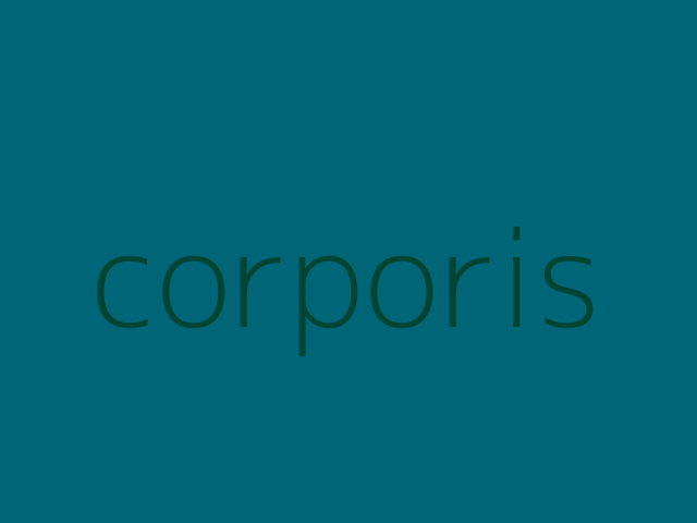 ipsum harum esse doloribus