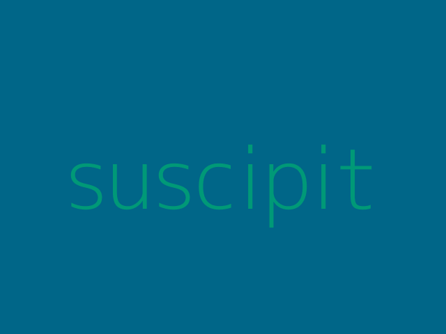 quia culpa veniam dolorum