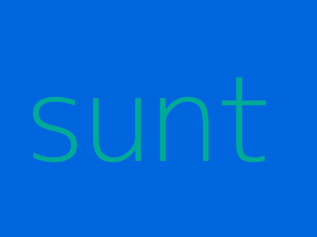 enim ut veniam non ad