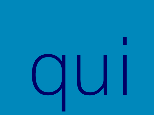 velit veniam aut officia