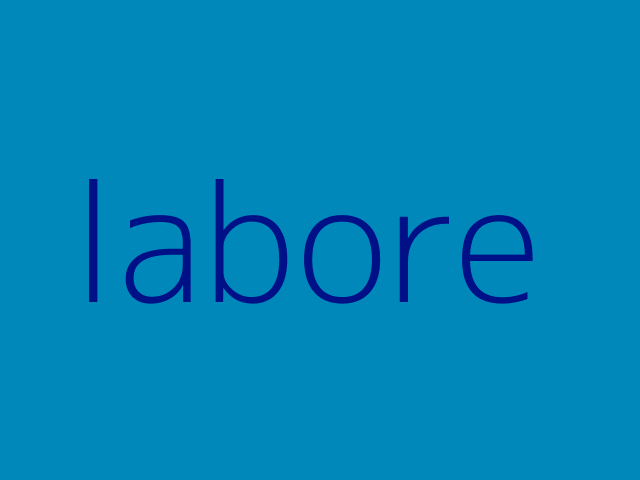 aspernatur est velit reprehenderit