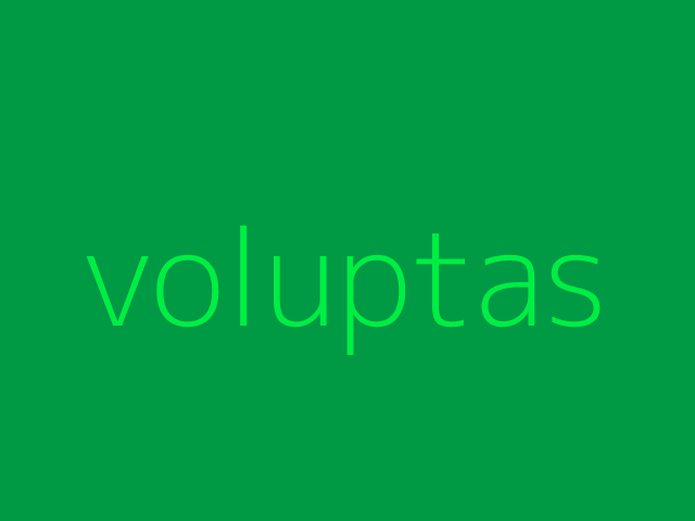 velit ipsam nesciunt