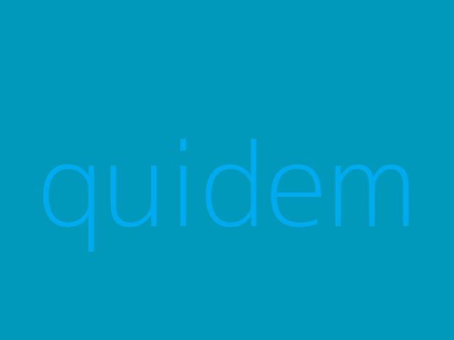 molestiae reiciendis totam dolorum voluptate