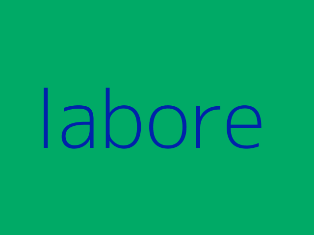 nihil ex tempora consequuntur