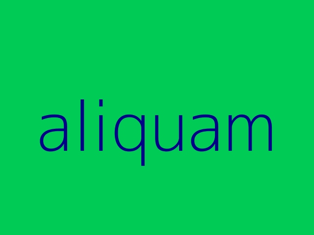 velit veniam aut officia