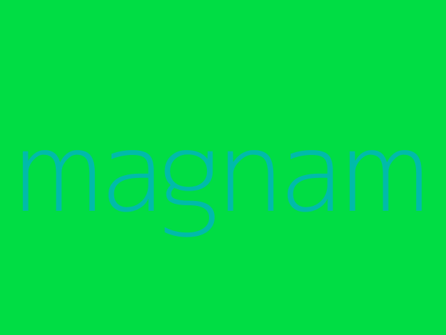 quis dicta nihil itaque