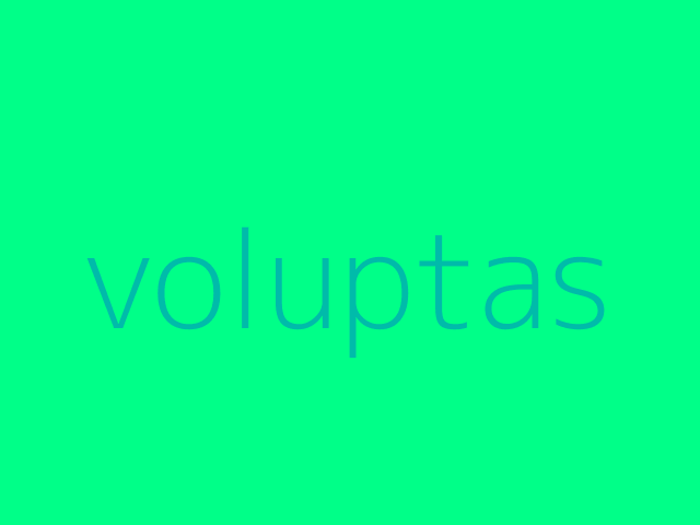 aliquam nam perspiciatis