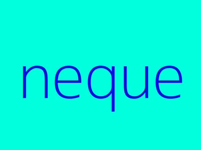 quisquam et est aut accusamus