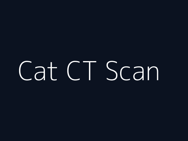 Cat CT Scan