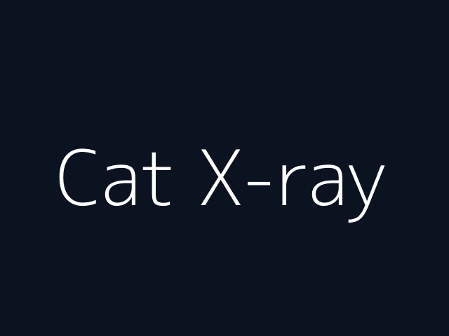 Cat X-ray