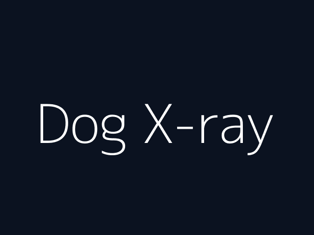 Dog X-ray