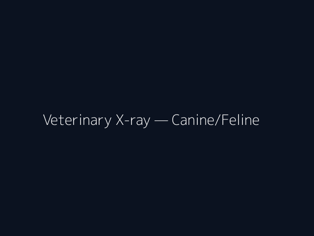 Veterinary X-ray — Canine/Feline