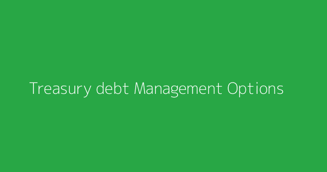 Treasury Debt Management Options