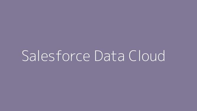 Salesforce Data Cloud