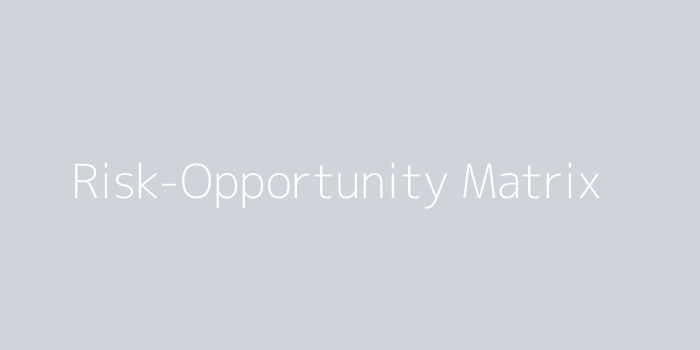 Risk-Opportunity Matrix