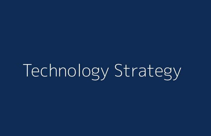 Technology Strategy & Roadmap